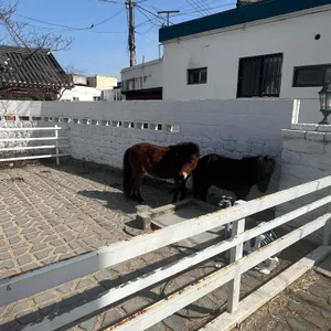 테를지 리뷰 사진