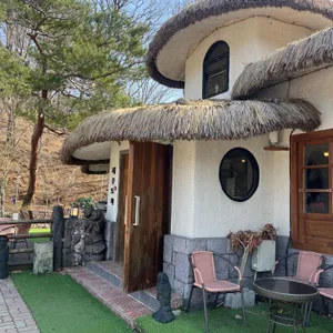 제주도화 사진 1