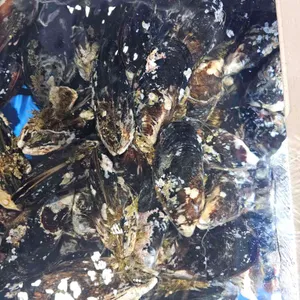 천안조개창고 리뷰 사진