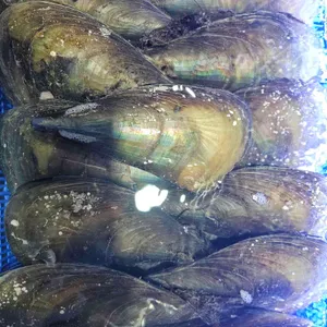 천안조개창고 리뷰 사진