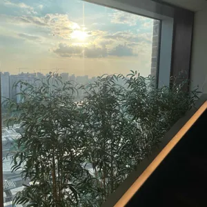 가배도프리미엄 리뷰 사진
