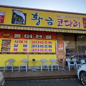 황금코다리 리뷰 사진