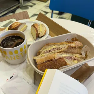 파네트 사진