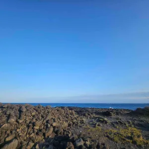 삼대해녀의집 리뷰 사진