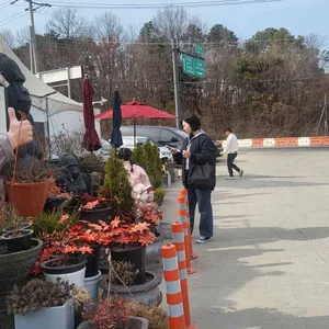 수라한식뷔페 리뷰 사진