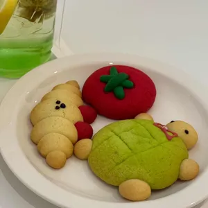 사계절, 일기 사진