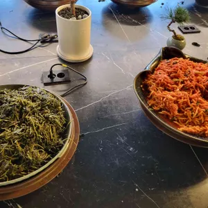 조선보리밥 사진
