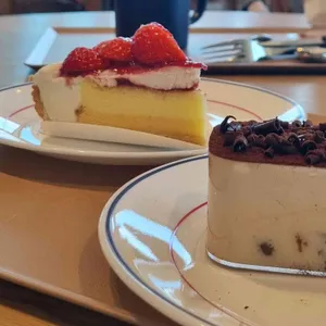 뚜쥬루 사진
