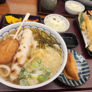 코시 사진