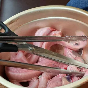불끈불끈꼼장어앤아나고 사진