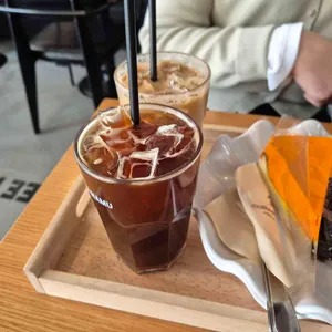 커피나무 사진
