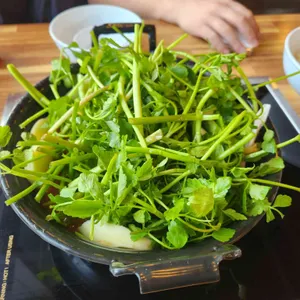등촌샤브칼국수 사진