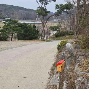 소희네 리뷰 사진