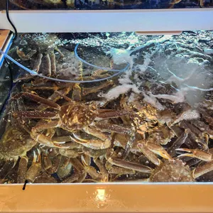 경포동해횟집 사진