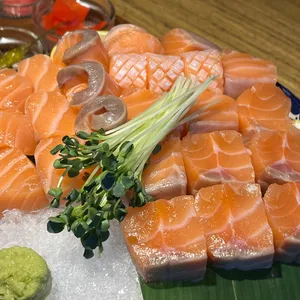 연꽃치 사진