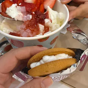 요거트월드 사진