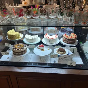 스테드 사진