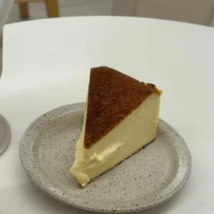 이알로스터즈 사진