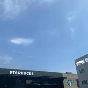 스타벅스 사진
