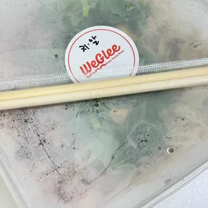 위글리 파스타볼 사진 1