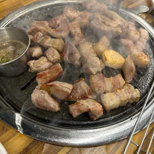 돈나무흑돼지 사진