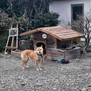 운림뜨락 리뷰 사진