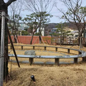 타임투비 리뷰 사진