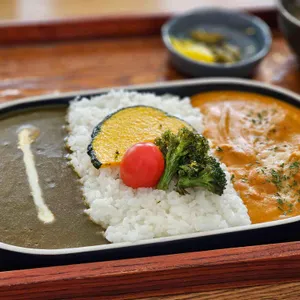 리릭 사진