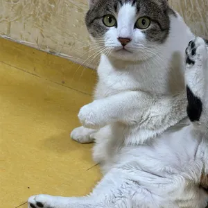 조방 푸짐한 마을 리뷰 사진