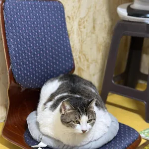 조방 푸짐한 마을 리뷰 사진