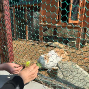 황제해신탕 리뷰 사진