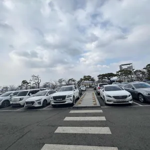 문지리535 리뷰 사진