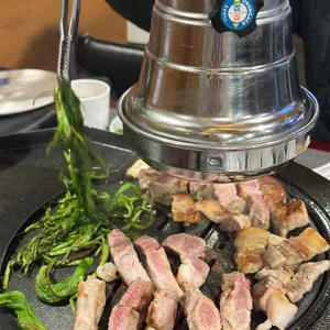 부산갈매기 사진