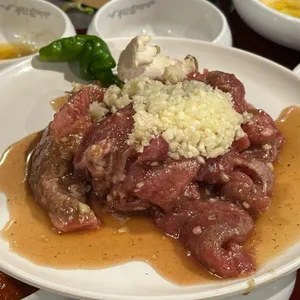 부산갈매기 사진