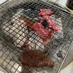 멍텅구리 사진 1