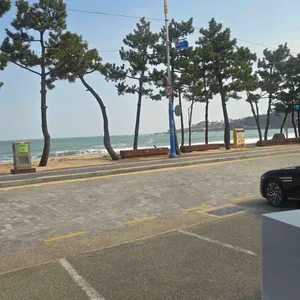 설보리 리뷰 사진