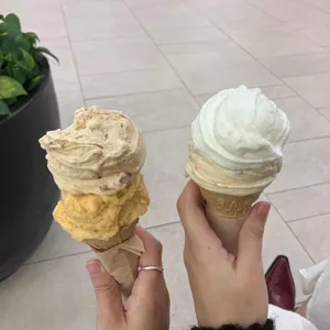 젤라띠젤라띠 사진