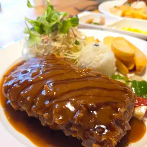 민들레 사진