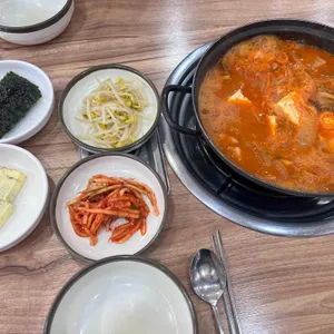 월수금통돼지 사진