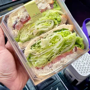 쟈빠따 사진
