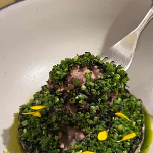 세디치 사진
