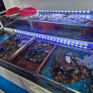 통영항수산민족 사진