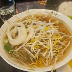 포메인 사진
