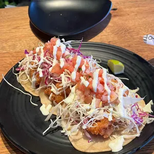 바토스 사진
