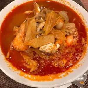 베이징코야 사진