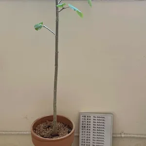 휘게라이프 리뷰 사진