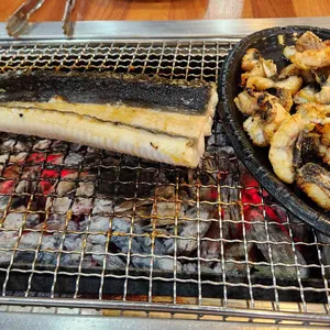 폭풍장어 사진