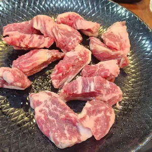 폭풍장어 사진