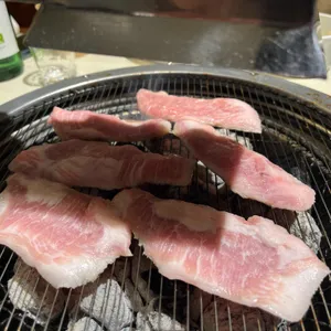연남제비 사진 2