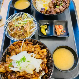 홍대개미 사진